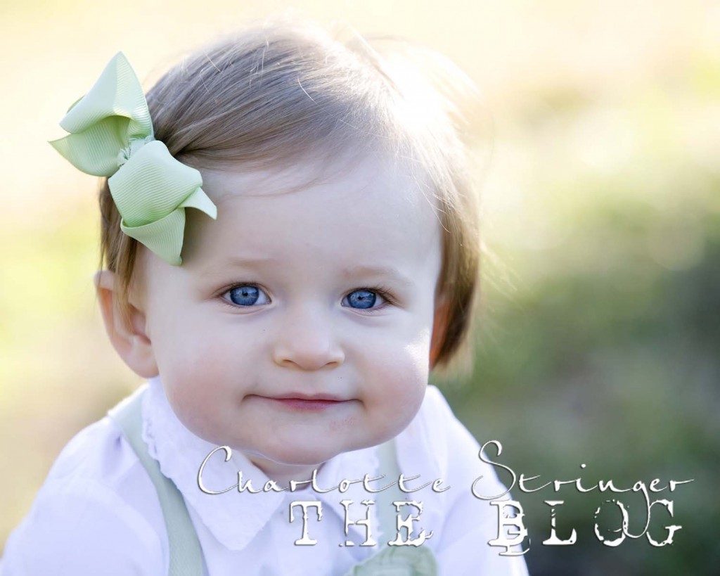 maddie-d-27-the-blog