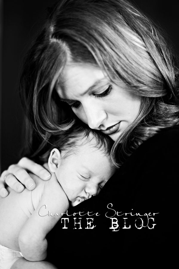 the-blog2 the-blog2